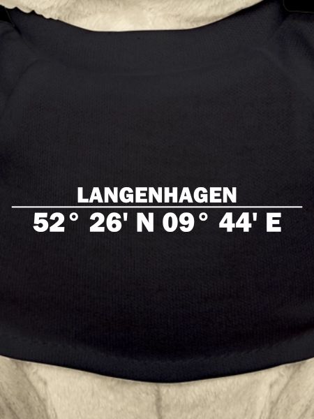 Coordonnées de Langenhagen