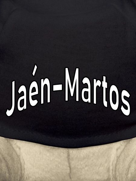 Jaén Martos
