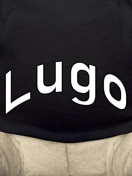 Lugo