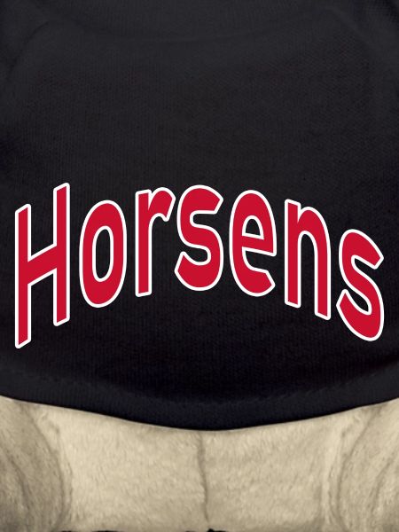 Horsens