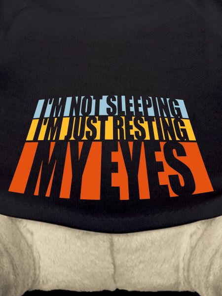 im not sleeping quote