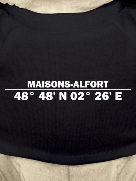 Coordonnées de Maisons-Alfort