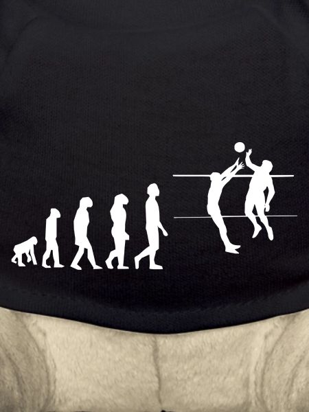 Volley évolution