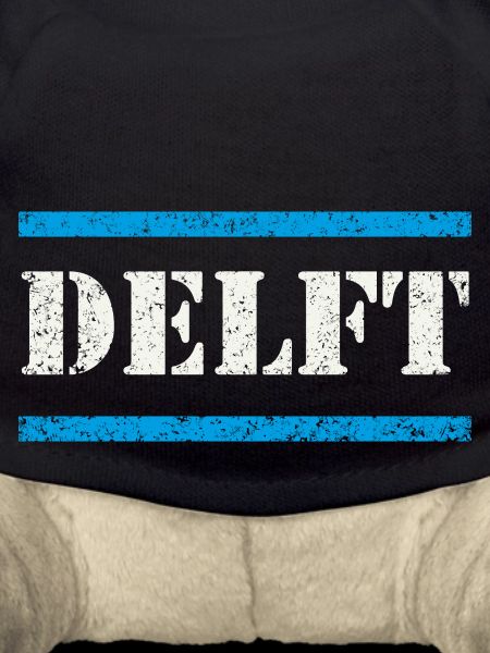 Delft
