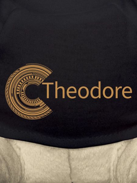 Pour Théodore
