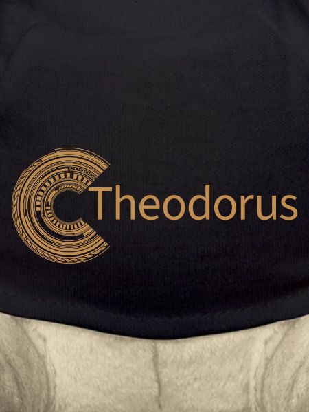 Pour Théodore