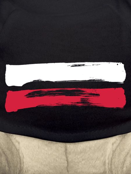 Poland Stripes - Polish Flag