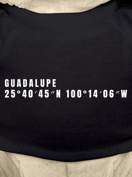 Nuevo León, Mexique Coordonnées