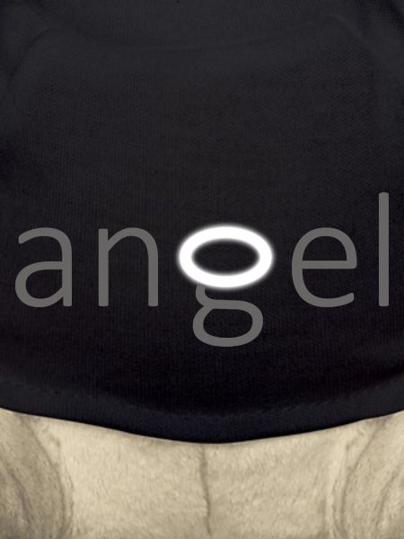 Angel - Engel