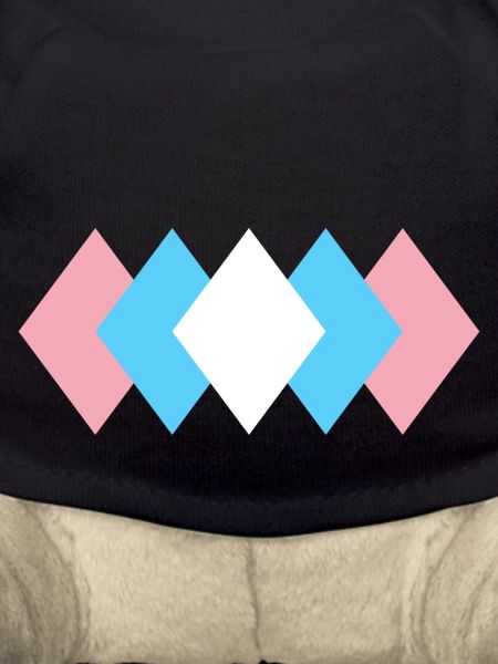 Subtle Transgender Pride