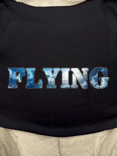 Flying