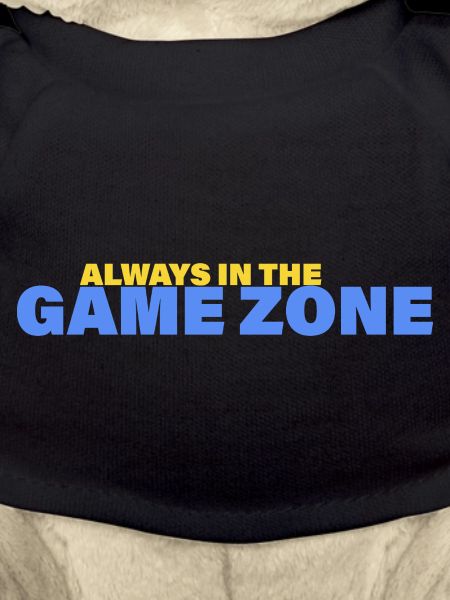 GAME ZONE