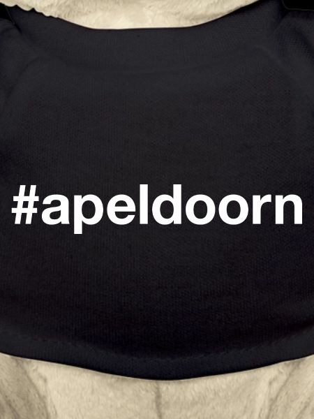 APELDOORN, Netherlands, Netherlands