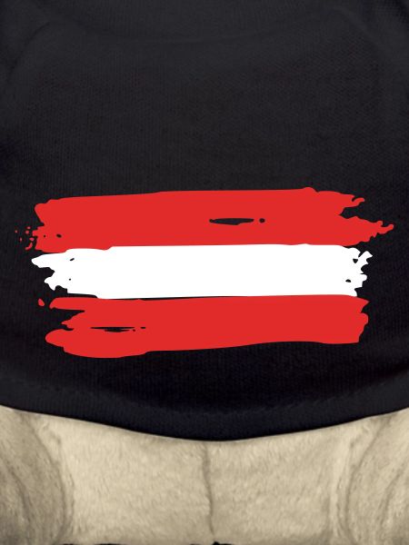 Austria Flag