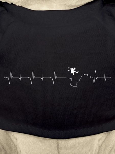 Flight Pulse Skyline