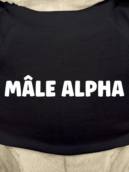 mâle Alpha