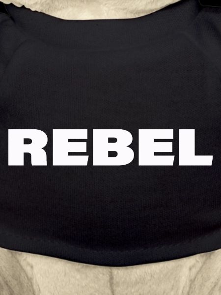 Rebel