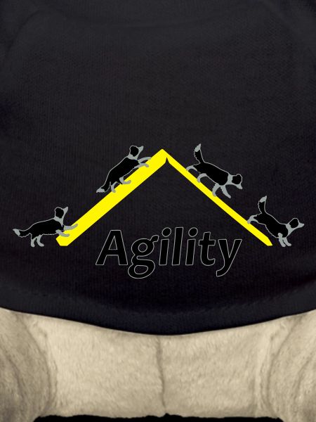 Agility 4x Border Collie