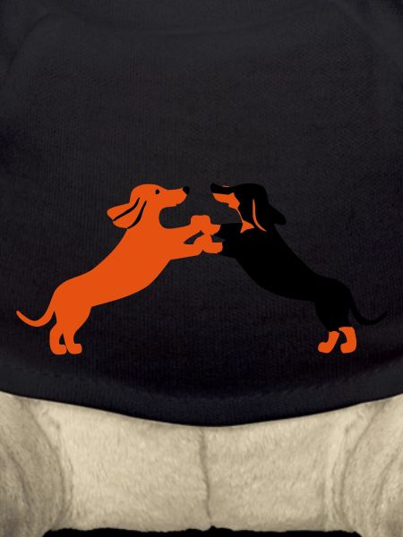 dog dancing teckel