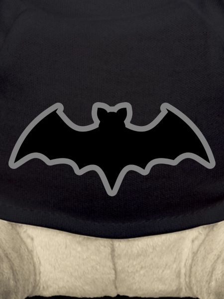 Fledermaus