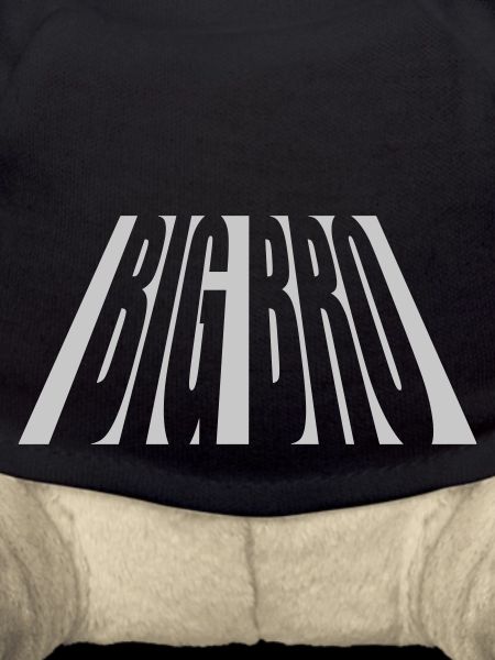 Perspective Big Bro Logo