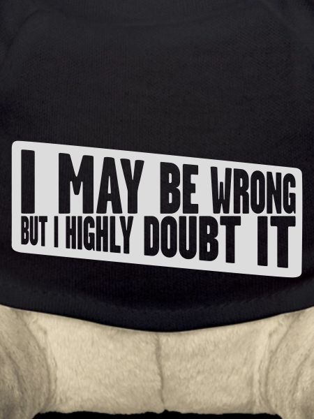 I may be wrong