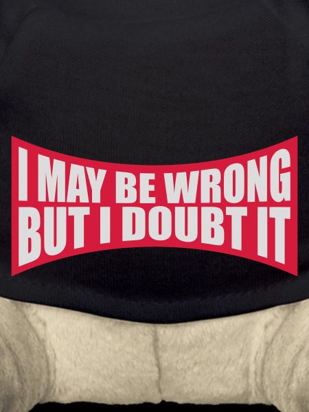 I may be wrong