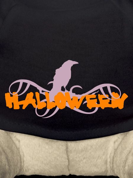 Halloween - Raven