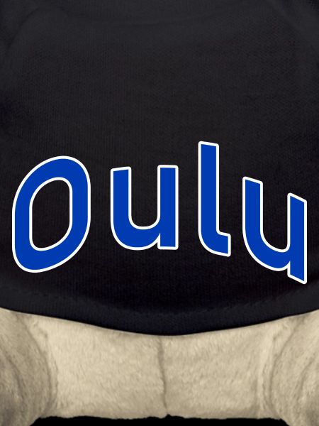 Oulu