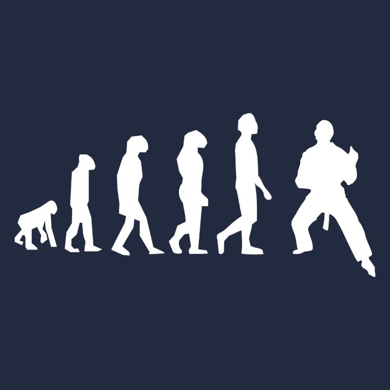 Art martiaux évolution