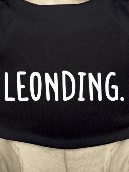 Leonding Österreich