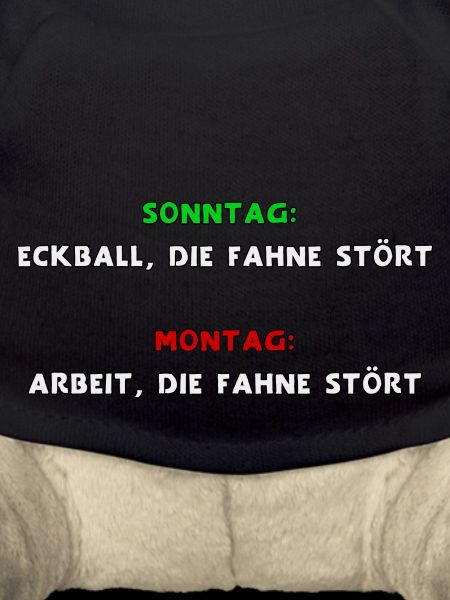 Die Fahne stört