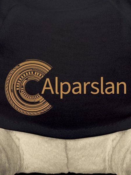 Pour Alparslan
