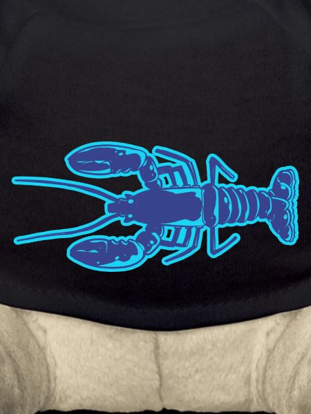 Lobster