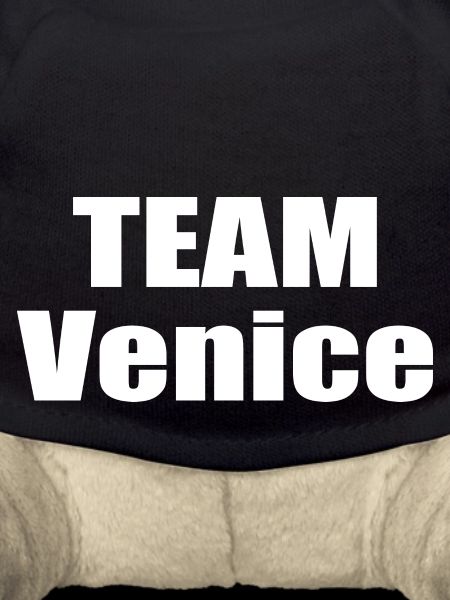 Team Venice