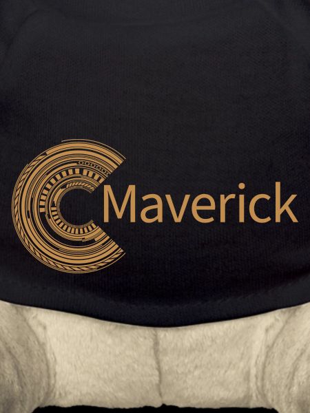 For Maverick