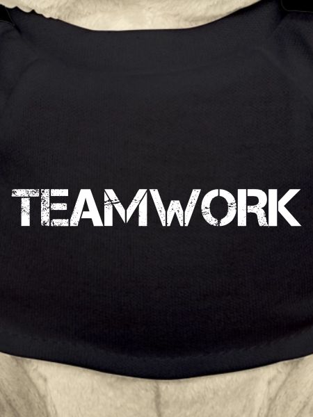 Teamwork Teamarbeit Teamgeist