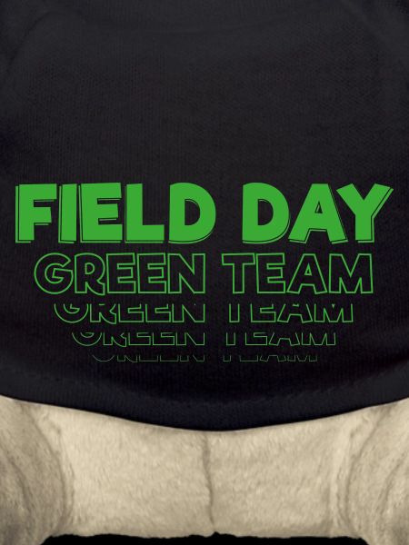 Field Day - Green Team