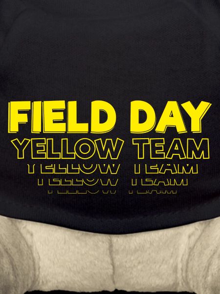 Field Day - Yellow Team