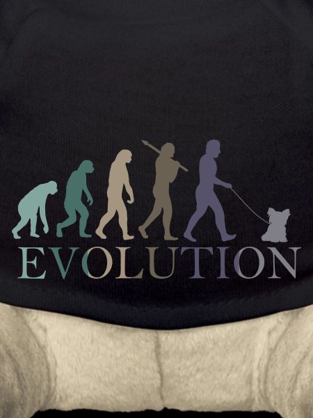 EVOLUTION Yorkshire Terrier