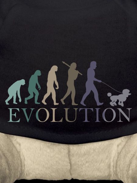 EVOLUTION POODLE