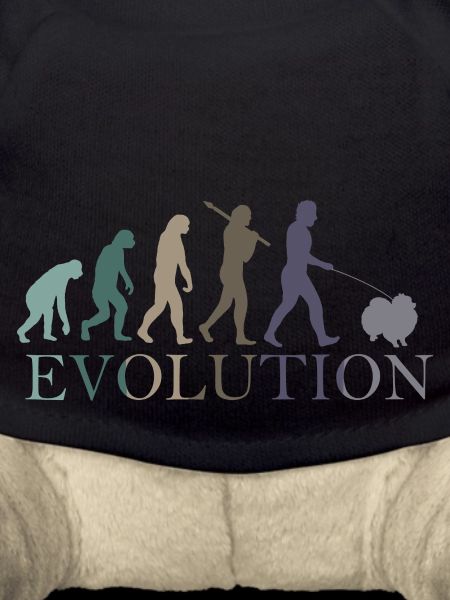 EVOLUTION POMERANIAN