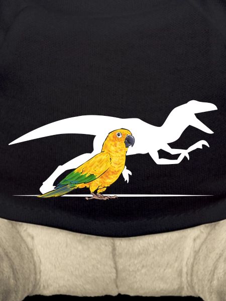 Parakeet Parrot Parakeet Bird