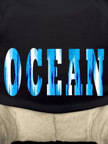Ocean