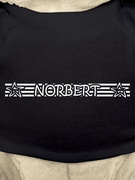 Birthday Norbert