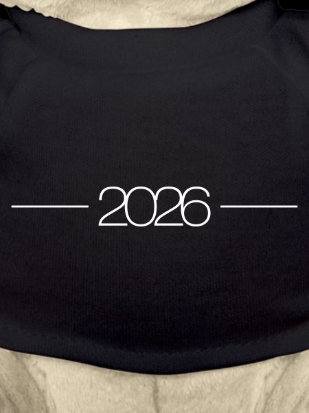 2026 year stroke