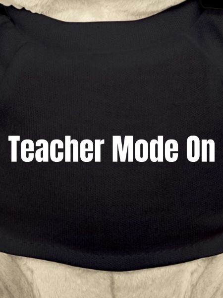 Lehrermodus an | Lustiges Lehrergeschenk