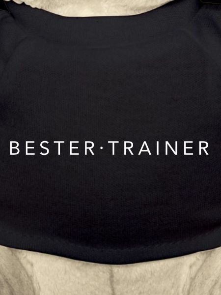 Bester Trainer