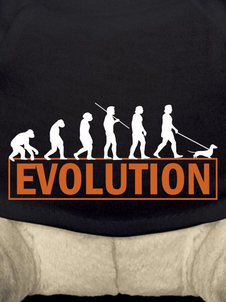 Dackel Evolution Dachshund Teckel Geschenkidee