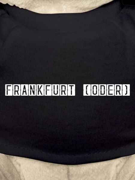 Frankfurt (Oder) Flughafentafel
